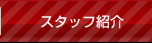 スタッフ紹介
