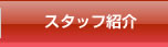 スタッフ紹介